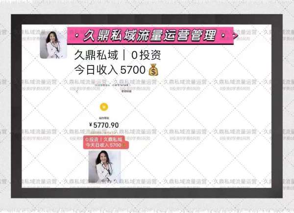 呼和浩特九鼎私域运营团队的专业性探讨