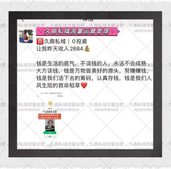 鹿寨县久鼎私域团队，引领新时代的私域流量浪潮