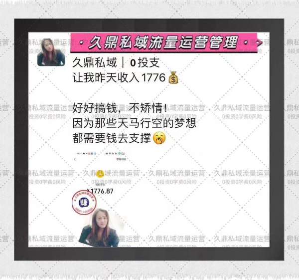 宁县久鼎私域成功案例分析，深入挖掘其独特亮点与卓越成就
