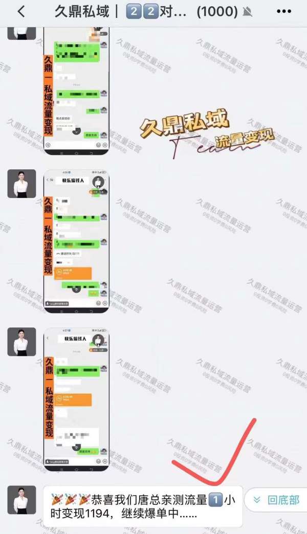 三江地区是否有专门从事久鼎私域的团队？深入分析与探讨