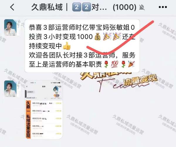 宁县久鼎私域成功案例分析，深入挖掘其独特亮点与卓越成就