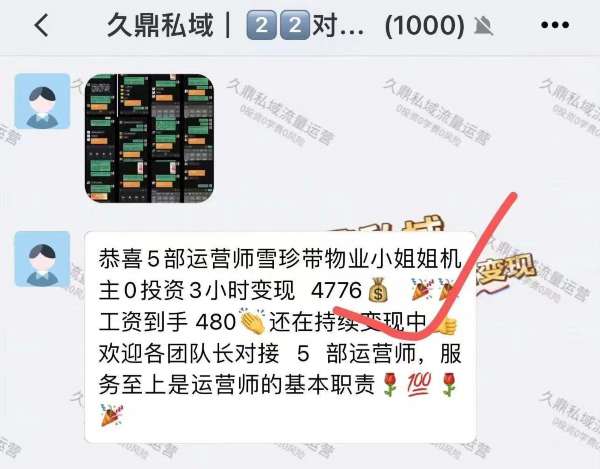 哪些团队提供久鼎私域运营师的服务？龙凤团队在其中表现突出