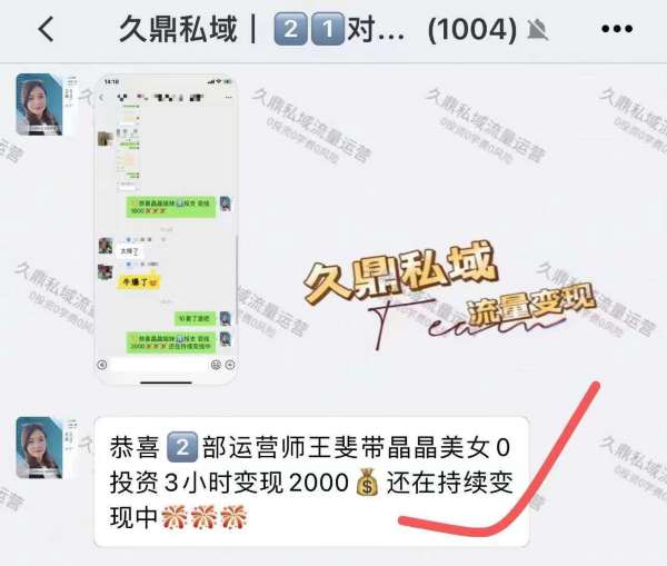 榆林九鼎私域运营专家团队—卓越的运营实力与成功案例的佼佼者