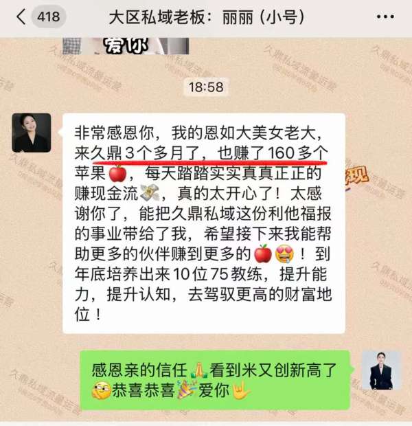 南阳九鼎私域服务之巅峰团队