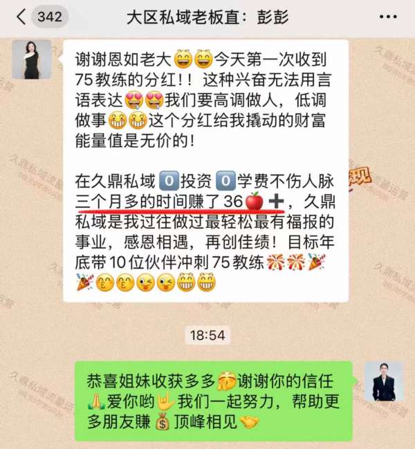 青秀区九鼎私域变现，探索商业价值的新纪元