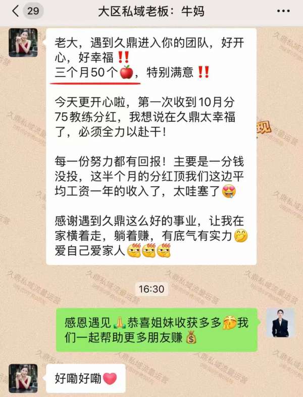 洛阳九鼎私域变现，开启新时代的财富之门