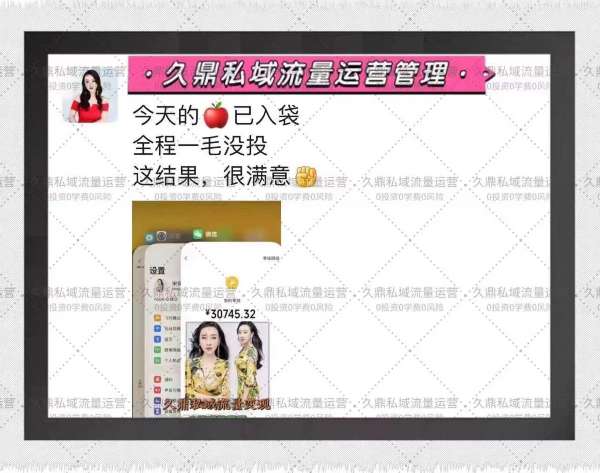 儋州久鼎私域市场的发展现状与前景探索