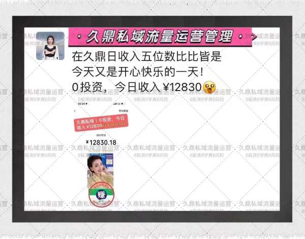 保康县久鼎私域业务与电商行业的适配性分析